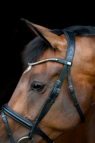HorseGuard Emi 26.1 Hodelag