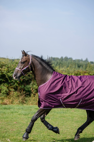 Bucas Freedom turnout 50g blackberry