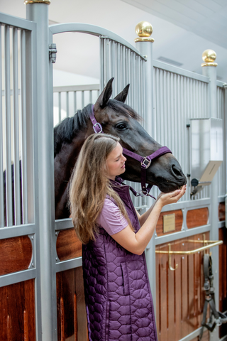 HorseGuard Diya lilla grime 2.0
