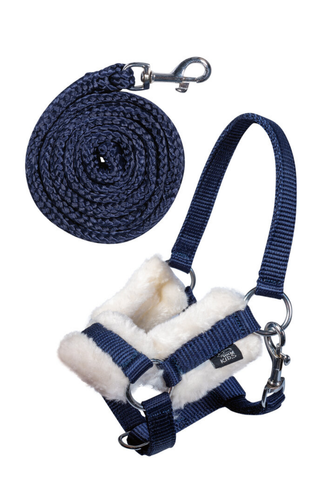 Grime og leietau til Hobby Horse