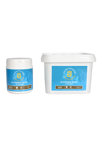 Biofarmab b-vitamin