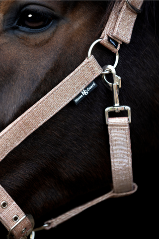 HG lowa grime