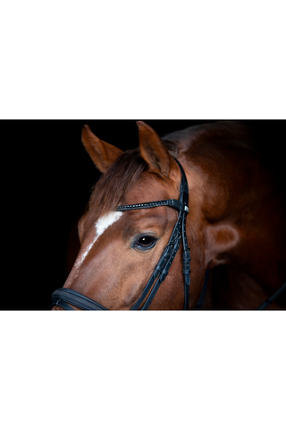 Horse Guard Emi 26.2 hodelag med flash nesereim