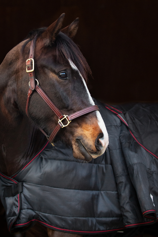 Catago Dual Pro vinterdekken