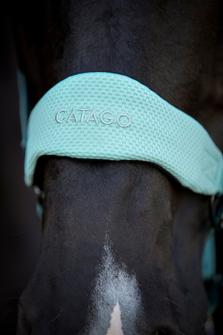 Catago Fir-tech grime, Blue surf