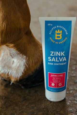 Biofarmab zinksalve 100g