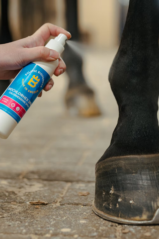 BioChlorHex Spray 200 ml