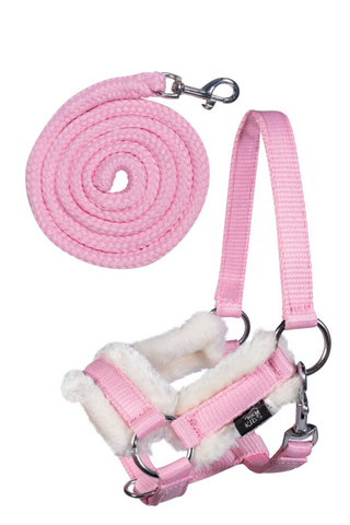 Hodelag til Hobby Horse