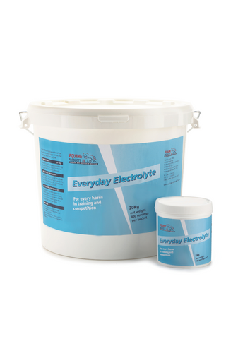 Everyday elektrolytter 1 kg